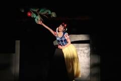 ���c�X�^�W�IQ 2020�N1�������@�L���X�g�I�[�f�B�V����