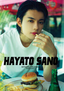 wElJ_[2026.4-2027.3x\iʏŁjiCjSDP