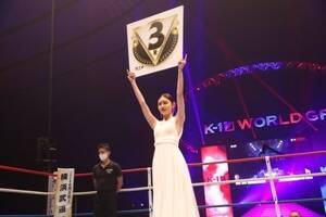 K-1XyVEhK[𖱂߂ViVifEÔ