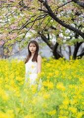 �T�؍�46�E�����猎�F�w�{���x2026�N5�����t�^�E���ʃ|�X�^�[�i�����p�u���b�V���O�j