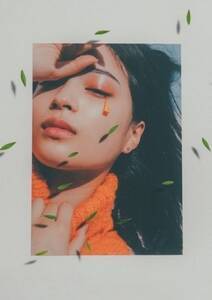 uL2020J_[vij[XʐMЊjC[W摜