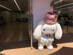 キャラクター大賞2連覇のシナモロール ジュノンボーイベスト100に進出 おともだちのモカちゃんが応募して ニュース画像 Deview デビュー