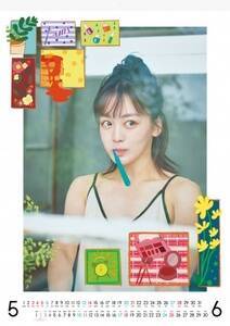uɌZԁ@2023NJ_[viЂ킭킭쏊^iF3,300~^dlFB2E8F|X^[^Cv^115j