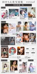wcʐ^W revealxT摜