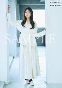 �~�V���g�^�w�A�b�v�g�D�{�[�C Vol.361�x�|�X�^�[���摜�i���j�u�b�N�X�j