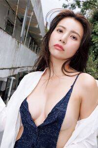 ���n���S���t�@�[�X�g�ʐ^�W�w�m�[�K�[�h�x�i�����Ё^�B�e�F���c���j