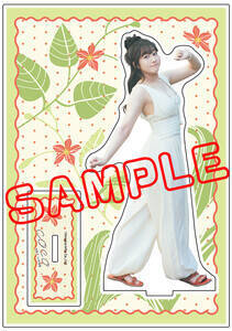 �w�ьێq1st�ʐ^�W coco�x�Q�[�}�[�Y�y���z����œ��T�u�A�N�����X�^���h�v