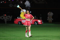 2025�N�̊����̗l�q