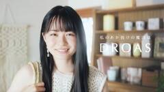 wDROASxWEB CMû̖@DROASvɎ剉从qB