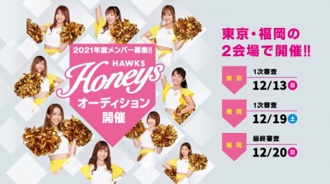 �����\�t�g�o���N�z�[�N�X�̌����_���X���p�t�H�[�}���X�`�[���u�n�j�[�Y�v���V�����o�[���W