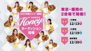 �����\�t�g�o���N�z�[�N�X�̌����_���X���p�t�H�[�}���X�`�[���u�n�j�[�Y�v���V�����o�[���W