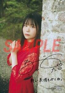 �w����������1st�ʐ^�W �܂Ȃ����x�A�j���C�g���T�����T�C�����R�����g����u���}�C�hA�i2��̂��������_���ł��n���j