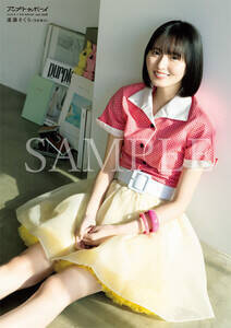 ���������� �|�X�^�[�ʐ^