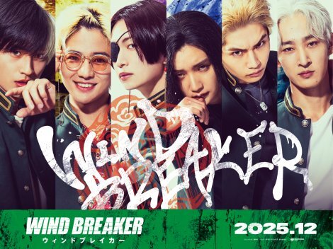 wWIND BREAKERx剉͐Pi 
