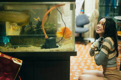 u΂t@[Xgʐ^W vij[XʐMЊj Be^R}Tg