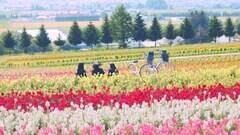 2006Nh}V[AKB48 56thVOuTXeiuvMViCjAKS^LOR[h