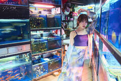 uɒB 2ndʐ^W VGbgvfڃJbgiBe^Gj