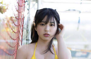 ���ȂȂ��f�W�^������ʐ^�W�w�����ȃt�@���E�t�@�^���x�i���j�u�b�N�X�j