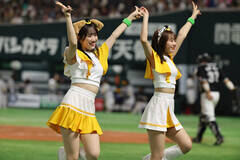 2025�N�̊����̗l�q