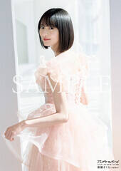 ���������� �|�X�^�[�ʐ^