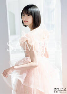 ���������� �|�X�^�[�ʐ^