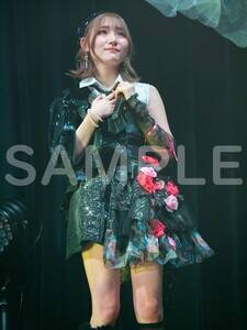fW^ʐ^WuDOLL TOUR 2023 `Story` TOKYO FINAL LIVE PHOTO BOOKvioricon MEj