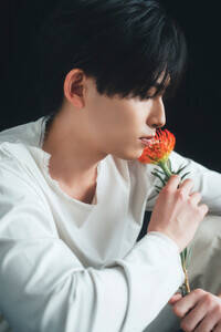 wtRЎcalendar 2026xsJbgiCjKADOKAWA^ʐ^Fc`h