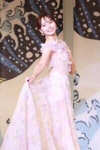 �~�X���{�u���̓V�g�v�u����������iC�jDeview