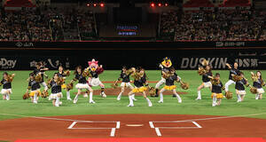 福岡ソフトバンクホークスを盛り上げる「ハニーズ」&「アクロバットパフォーマー」のメンバーオーディションを開催