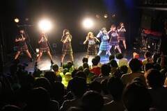 Ko[ڎwđS͂̃Cu鈤DOLLiCjDeview