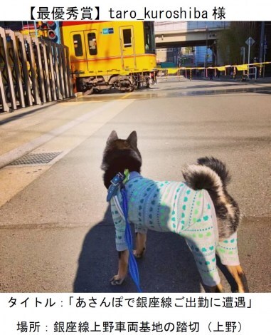 yŗDG܁z taro_kuroshibaiInstagram̃AJEgj̍iwۂŋo΂ɑx