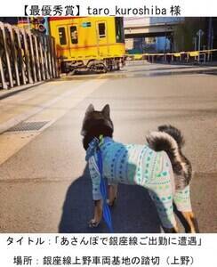 yŗDG܁z taro_kuroshibaiInstagram̃AJEgj̍iwۂŋo΂ɑx