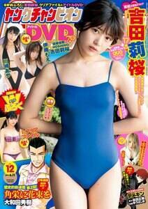 gc仍A28́wO`sIxNo.12\AOrAɓoBBeF؋M^iCjO`sIҏW