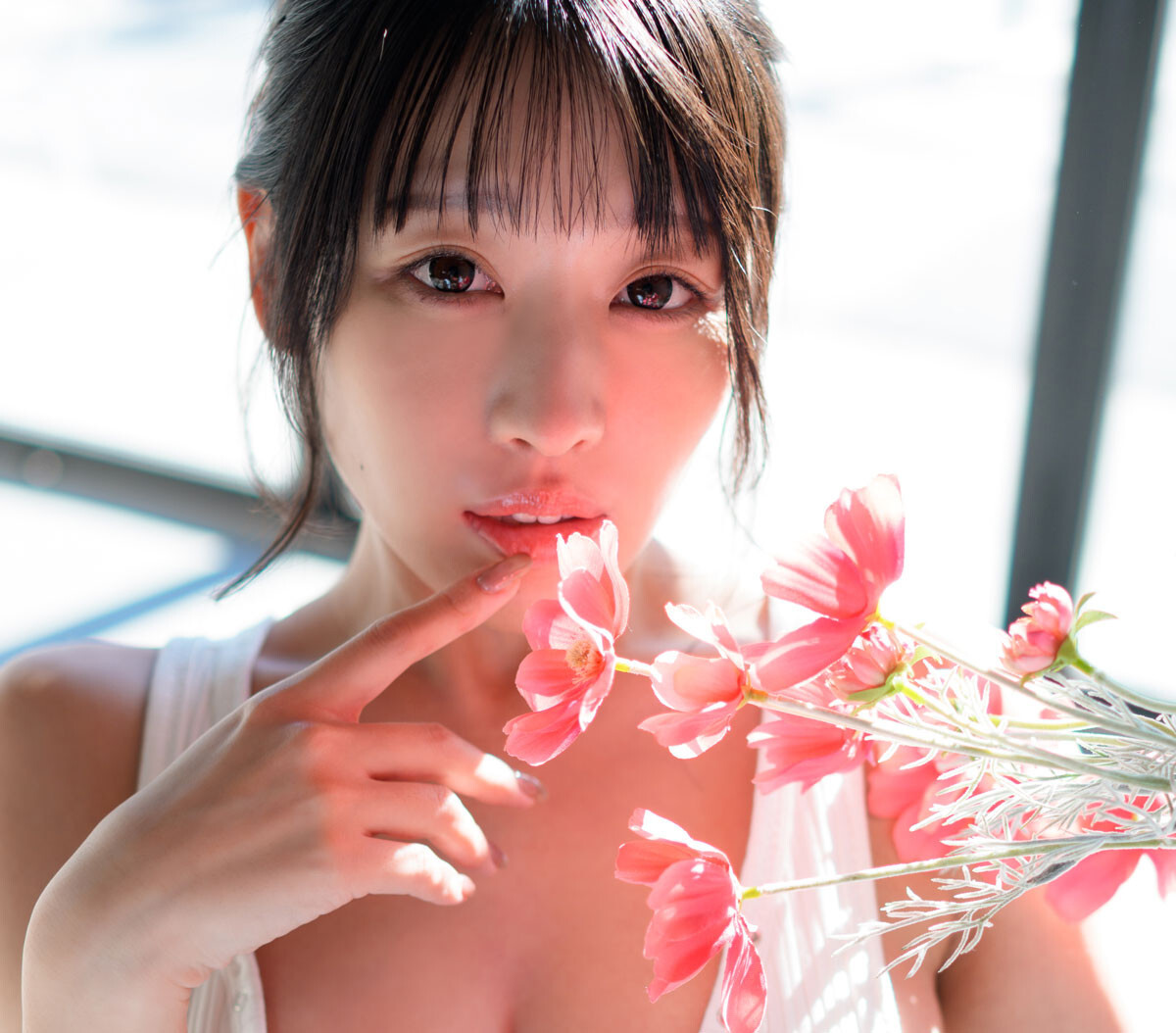 ����񂲁^�w�T���|�X�g�x2/27�E3/6�������i���w�فj�B�e�^��؃S�[�^