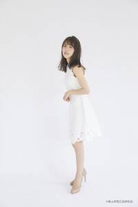 Vc^񋟁Fzv