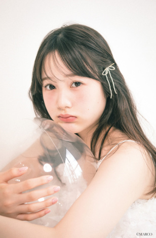 �{�c�ї��̏������������V�l��W 