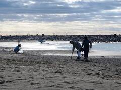 2017NȂC[WK[̗؂AwbhhōsȂꂽwLUKE'S BEACH CLEAN UPxɎQB
