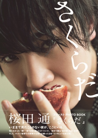 cʃt@[XgPHOTO BOOKw炾xijubNXj