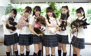 �w�l�\�e���r�x�Ŏ��ۂɎ����Ă���y�b�g�Ƌ������郁���o�[�B������A���݂݂Ȃ݁A�⍲����A���]�ꂢ�ȁA�m���G�T�A�ߖ�仍؁A�����ĊC(C)���k�V��