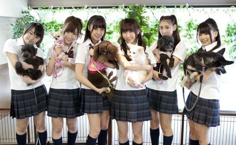 『ネ申テレビ』で実際に飼っているペットと共演するメンバー。左から、峯岸みなみ、岩佐美咲、藤江れいな、仁藤萌乃、近野莉菜、平嶋夏海(C)東北新社