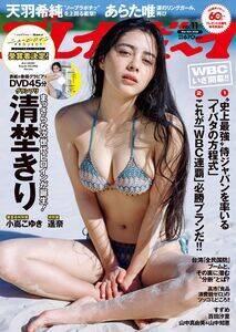 3��2���i���j�����w�T���v���C�{�[�C�x11���i�W�p�Ёj