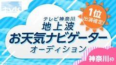 ItvkVCԑguweather reportvVCirQ[^[I[fBV_ސg