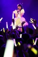 Luce Twinkle Wink̃o[EѐD߂݂̃o[Xf[Cui1AEVhBLAZEjiCjDeview
