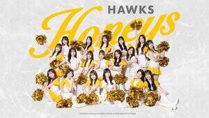 �z�[�N�X�I�t�B�V�����_���X���p�t�H�[�}���X�`�[���u�n�j�[�Y�v