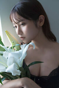 �����Ȃ����F�wFLASH�x2��10�E17�����i�����Ёj(C�j���؋M��