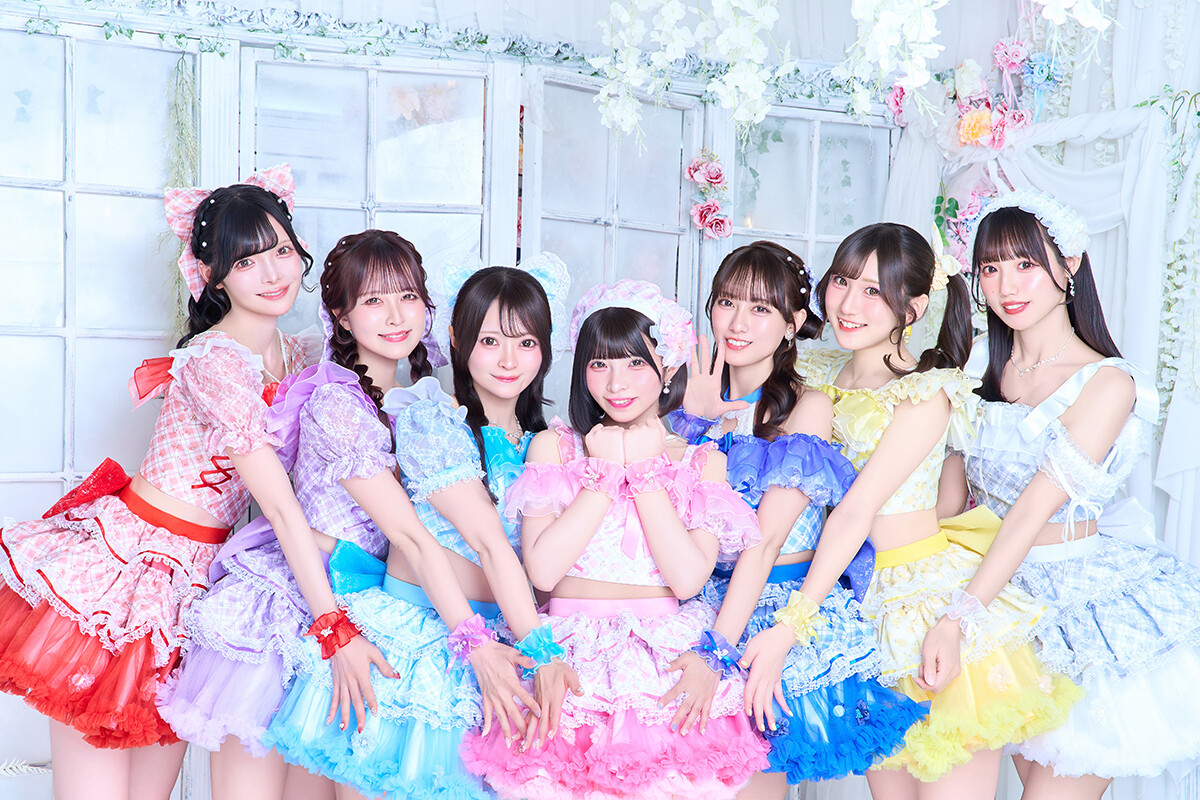 ��������DOLL