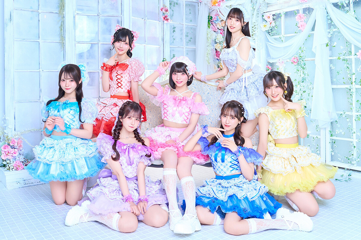 ��������DOLL